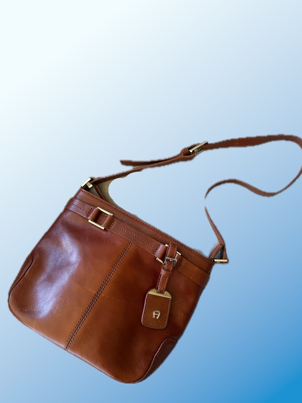 VTG Etienne Aigner Brown Genuine Leather Purse Handbag Shoulder Bag Medium Size